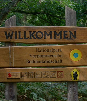 Nationalpark Vorpommersche Boddenlandschaft